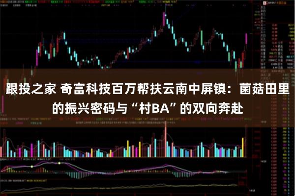 跟投之家 奇富科技百万帮扶云南中屏镇：菌菇田里的振兴密码与“村BA”的双向奔赴